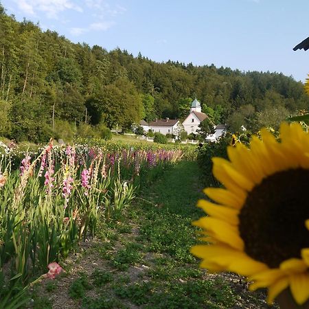 Hotel & Gasthof Zur Linde Kipfenberg Buitenkant foto