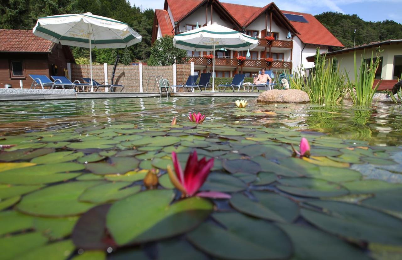 Hotel & Gasthof Zur Linde Kipfenberg Buitenkant foto